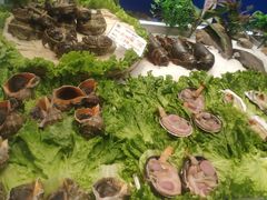 -宝轩渔府·老字号海鲜·正宗津菜(水上店)