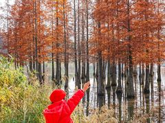 -白鹭湾湿地公园