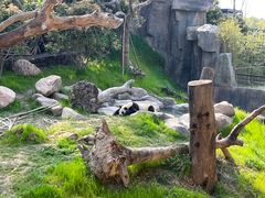 -宁波野生动物园