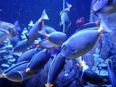 -成都浩海立方海洋公园