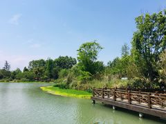 -桤木河湿地公园