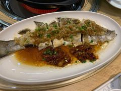 -喜上喜鸡煲翅(吉大店)