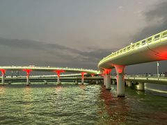 -演武大桥观景平台
