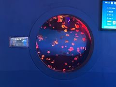 -太平洋海底世界