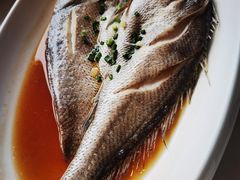 -华盛丰温州大排档(东三环南路店)