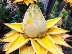 -南通洲际绿博园