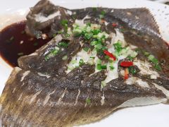 清蒸多宝鱼-神洲四海大酒楼(王府井澳门中心店)