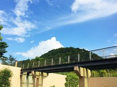 -神光山国家森林公园