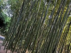 -苏州河梦清园环保主题公园