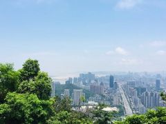 -板樟山森林公园