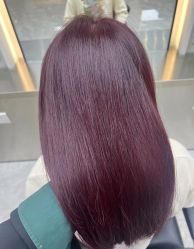 -豪斯塔美发连锁