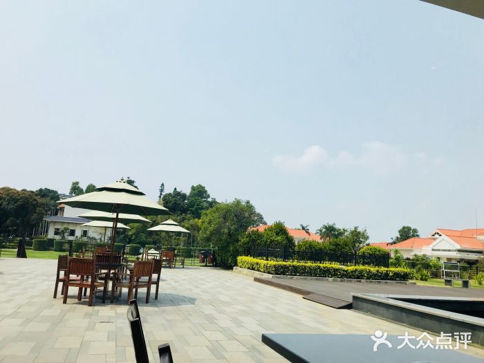 厦门悦华酒店·绿庭主题自助餐厅景观位图片