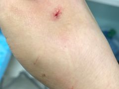 -纳吉亚猫专科动物诊疗中心(蒋宅口分院)