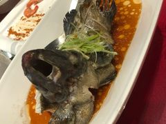 清蒸老虎斑-徐记海鲜(大雁塔|金都店)