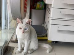 -方快-照相馆(莘庄沁春路店)