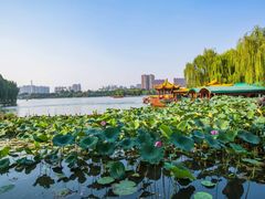 -济南大明湖景区