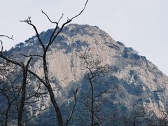 -泰山风景名胜区