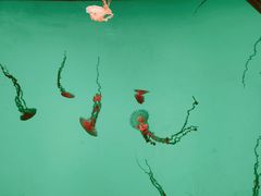 -沈阳海洋探索中心