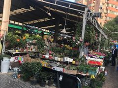 -曲阳花鸟市场(曲阳路店)