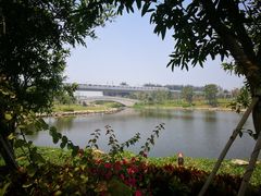 -宝安西湾红树林湿地公园