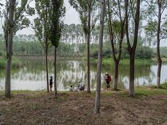 -东郊湿地公园