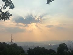 -铁山坪森林公园