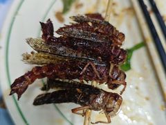 蚂蚱-巴犀烧烤(新崇光店)
