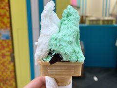 薄荷巧克力-柠檬车露(卖草地店)