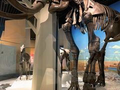 -国家自然博物馆