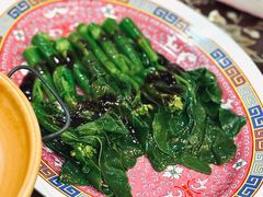 -大中鱼翅 Taitong Shark Fin