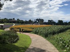 -保利石象湖景区