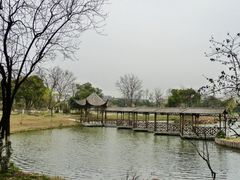 -昆山城市生态森林公园