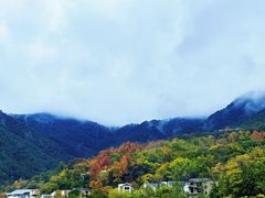 -大余丫山旅游度假区