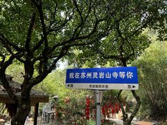 -灵岩山风景区