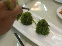 -福禄财东北菜(珠江帝景店)