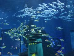 -海合安武汉极地海洋公园