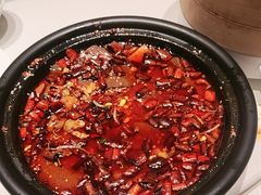 -大鸭梨烤鸭(望京店)