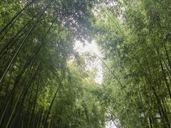-苏州环秀晓筑养生度假村