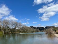 -九曲溪竹筏码头