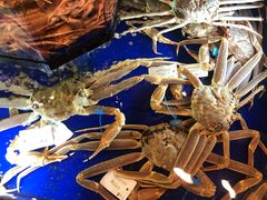 -蟹道乐(道顿堀本店)