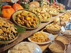-滇铺子•云南特色菜•野生菌季(南亚福景路·海埂大坝店)