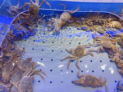 -澜悦港海鲜体验主题餐厅
