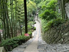 -莫干山风景区