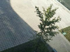 -首都医科大学附属北京天坛医院
