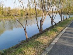 -广富林郊野公园
