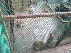 -藏龙百瀑风景区