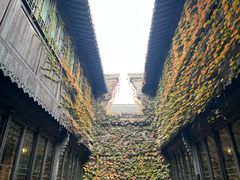 -昭明书院