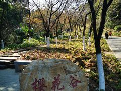 -广州市帽峰山景区