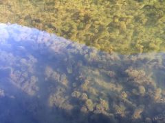 景点-广州市石门国家森林公园