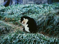 -栗满秋(燕丰西坝河店)